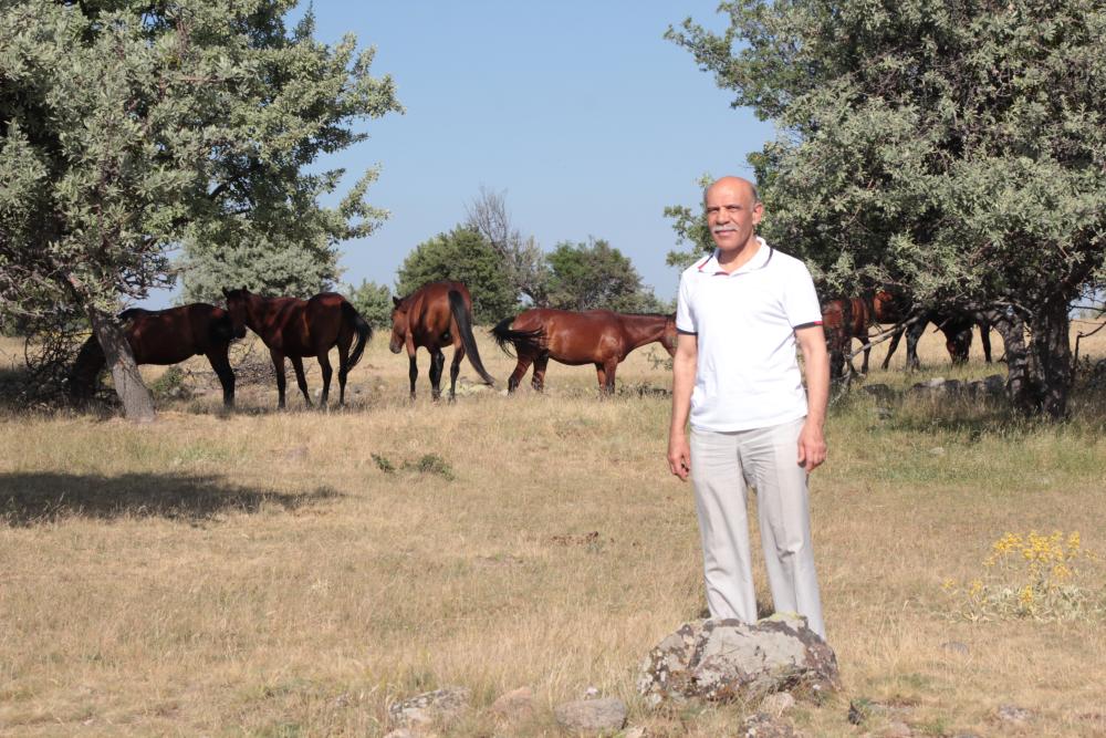 DP Beypazarı İlçe Başkanı Atak’tan Yılkı Atlarının Korunması İçin Çağrı