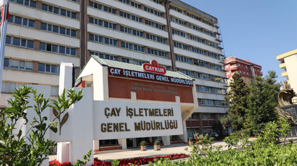 ÇAYKUR’dan Üreticilere Ödeme: İkinci Taksit Hesaplara Yatıyor