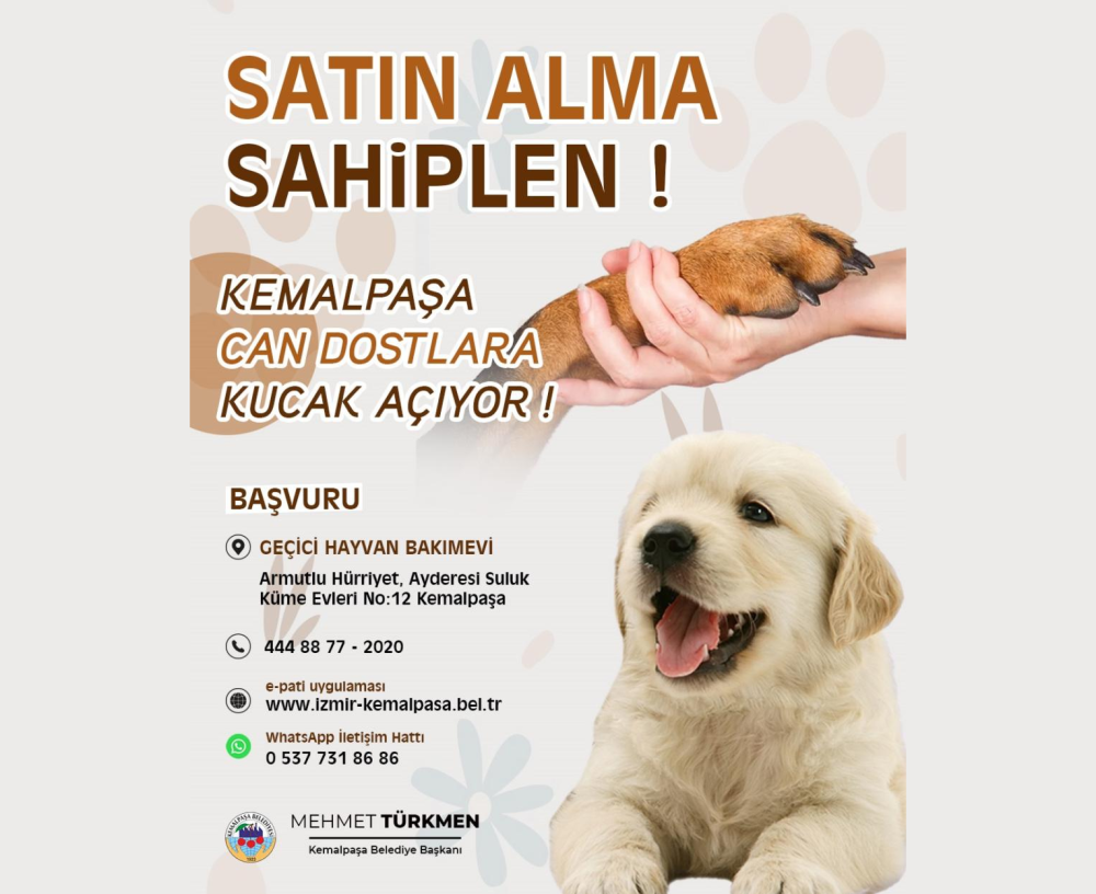 KEMALPAŞA BELEDİYE BAŞKANI TÜRKMEN’DEN SOKAK HAYVANLARI İÇİN SAHİPLENDİRME ÇAĞRISI