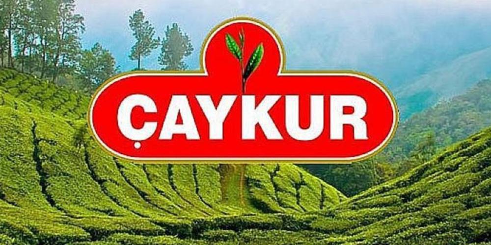 ÇAYKUR, İkinci Sürgün Çay Alımlarında Hız Kesmiyor: 6 Günde 15 Bin Ton