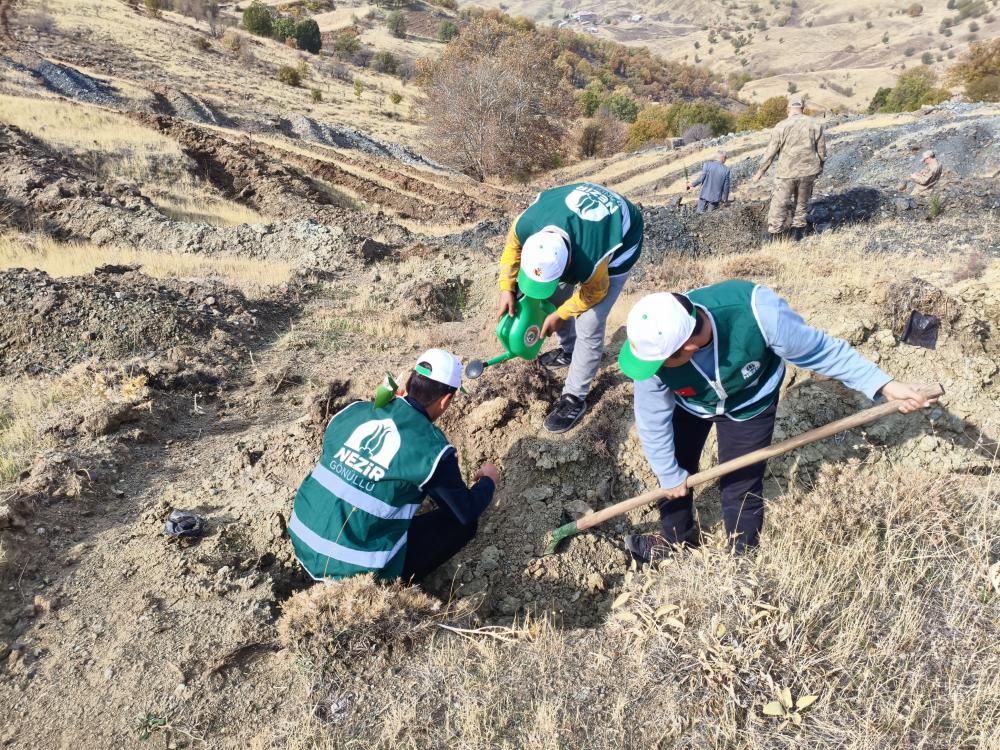 Adıyaman Nezir Derneği’nden 11 Kasım Milli Ağaçlandırma Günü’ne Destek
