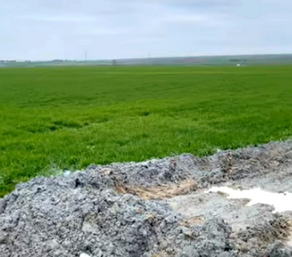 TARIM ARAZİSİNE KİMYASAL ATIK