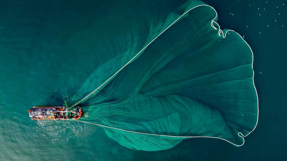 BALIKSIZ DENİZLER UZAKTA DEĞİL