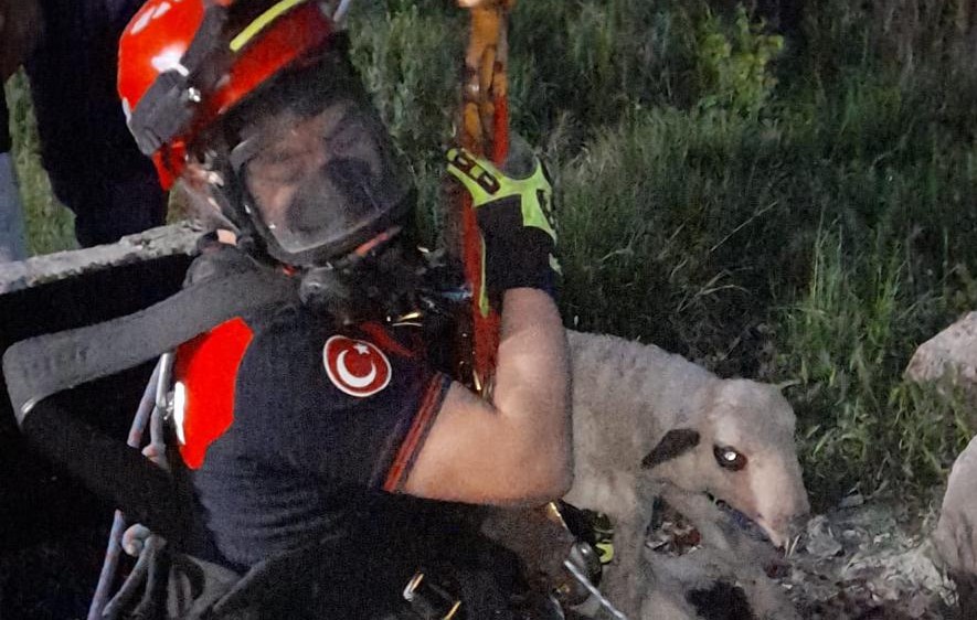 İTFAİYEDEN NEFES KESEN KUZU OPERASYONU