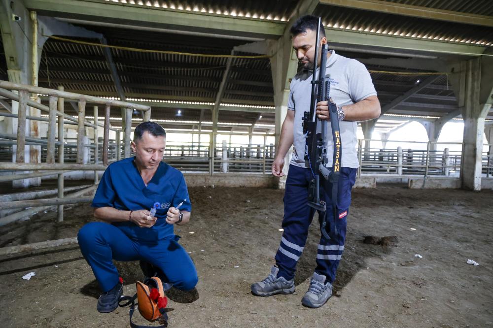 Büyükşehir’in kurban yakalama timi göreve hazır