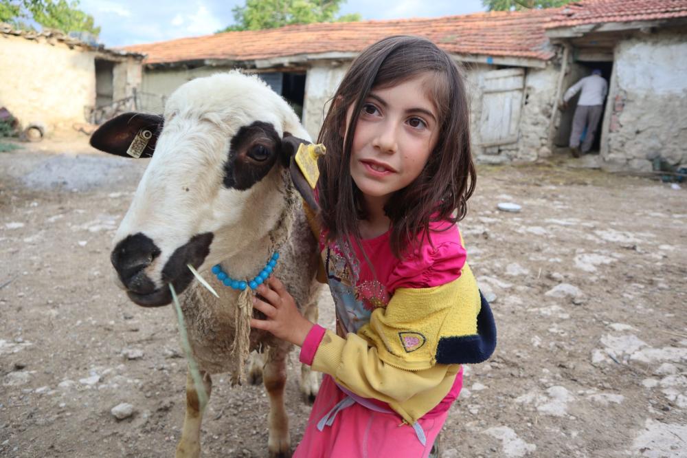 HAYVAN SEVGİSİ MUTLULUĞUN KAPILARINI AÇIYOR