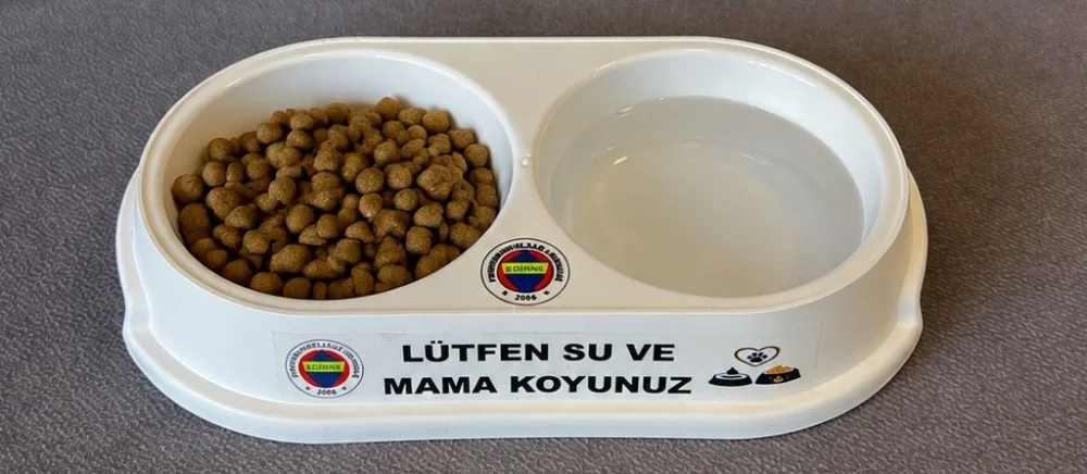 PATİLİ DOSTLARA MAMA VE SU KABI ONLAR BİZE EMANET