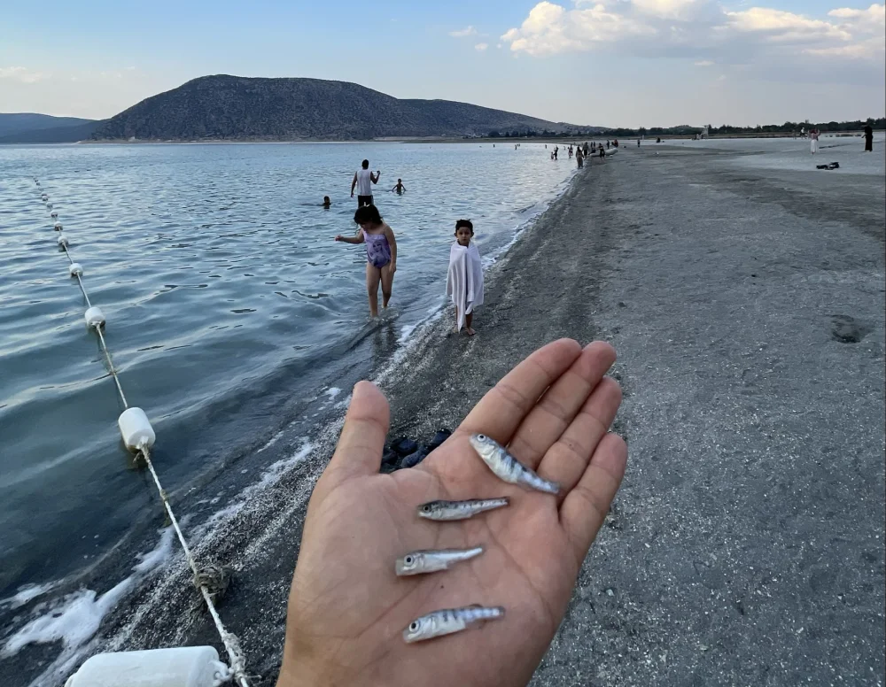SALDA GÖLÜ’NDEKİ BALIK ÖLÜMLERİ ARAŞTIRILSIN!